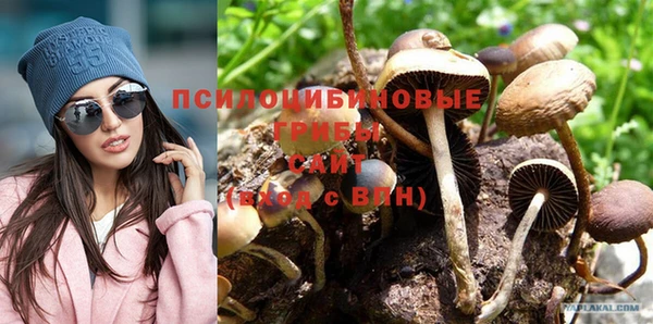 мет Богданович