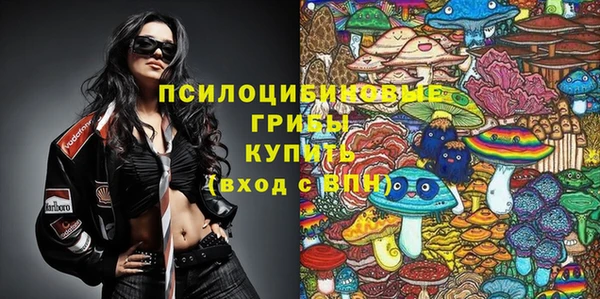 марки nbome Белокуриха